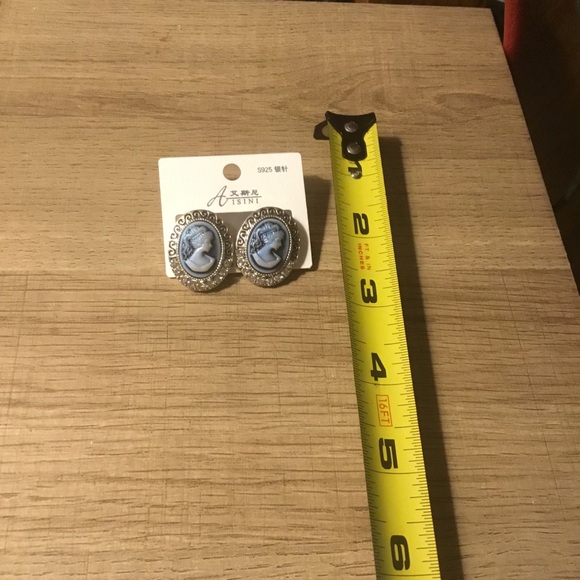 Vintage Blue and Silver Cameo Earrings - Picture 3 of 3